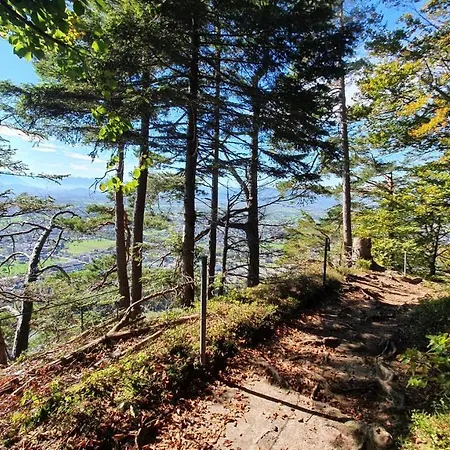 F E R I E N W O H N U N G 