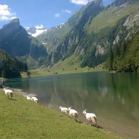 F E R I E N W O H N U N G 