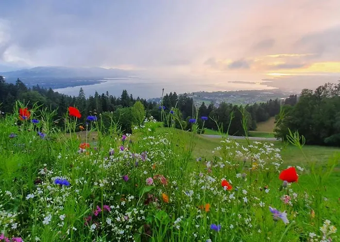 F E R I E N W O H N U N G 