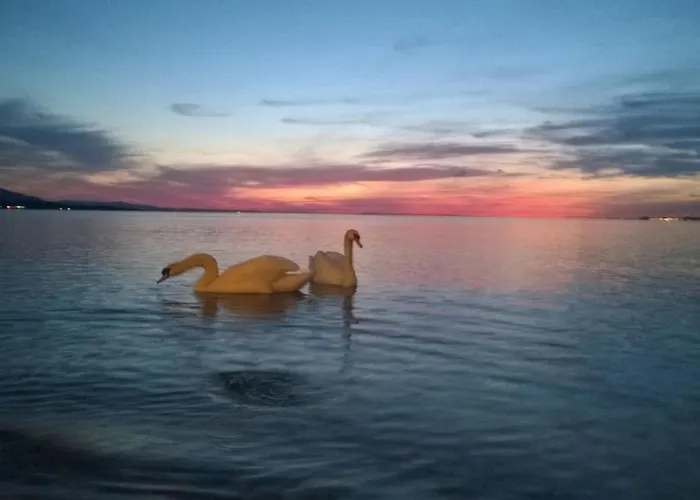 F E R I E N W O H N U N G 